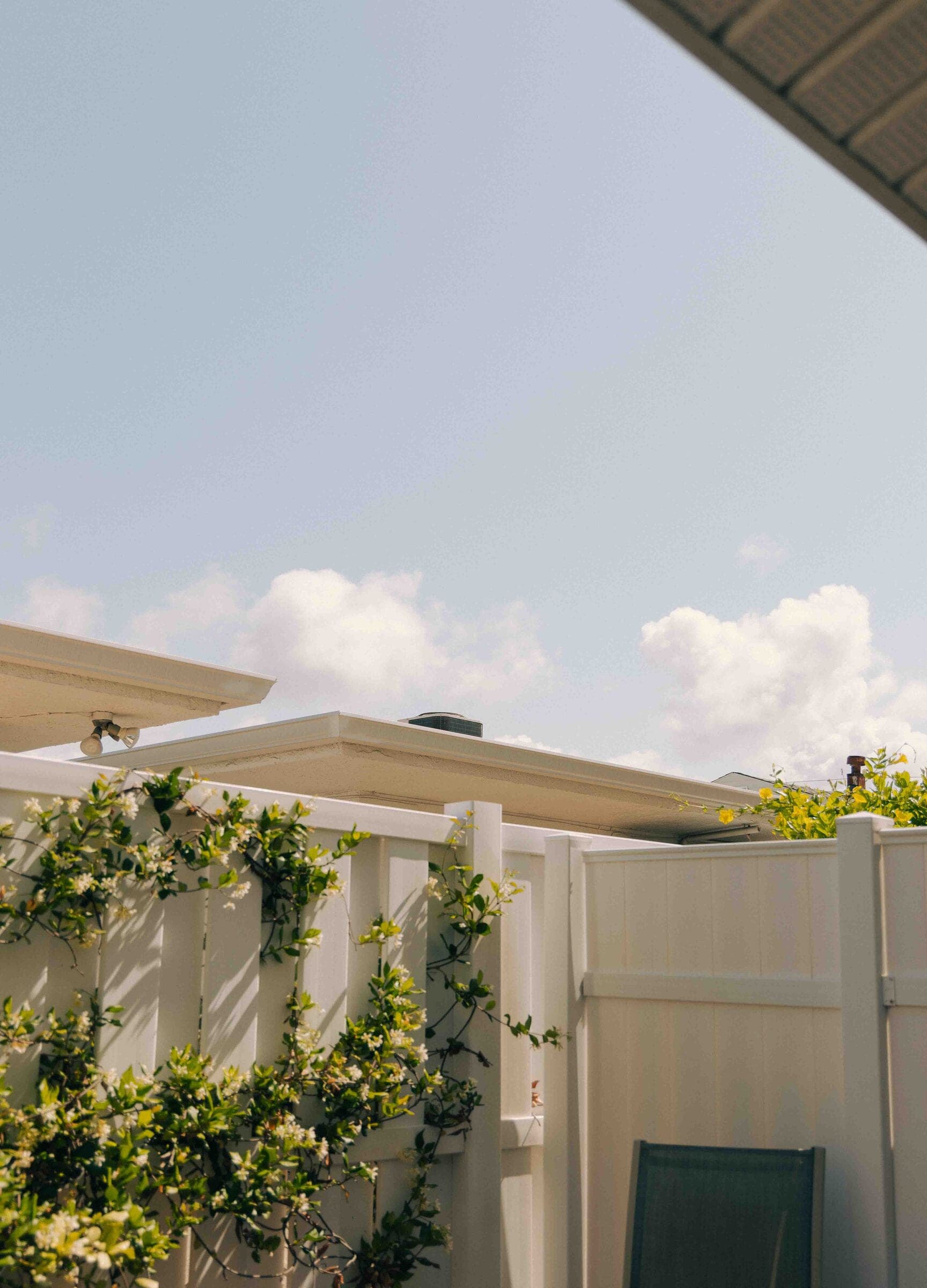 White solid-panel privacy fence with climbing jasmine under a bright sky. Material not confirmed.