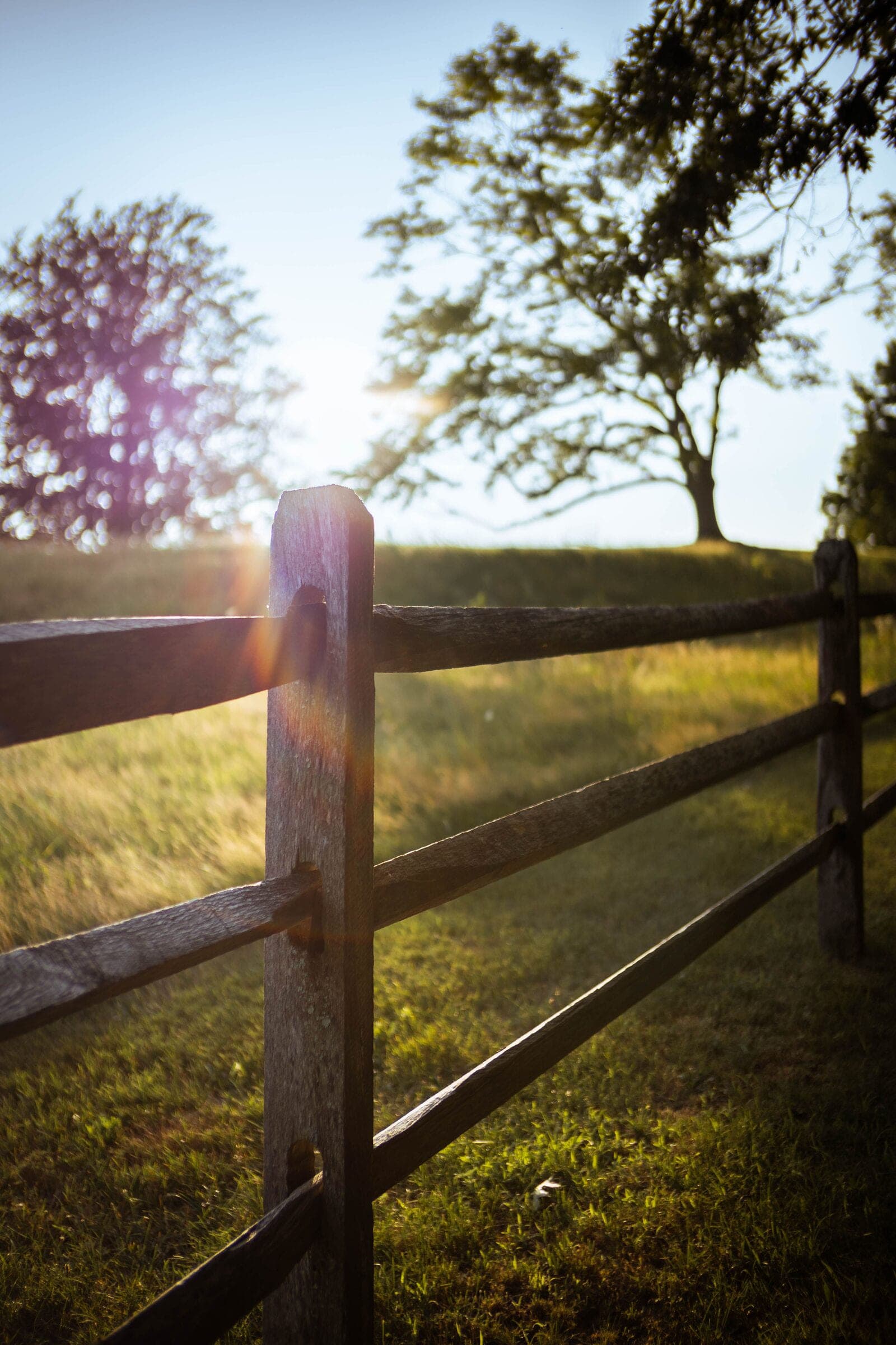 Split rail: three-rail mortised post-and-rail fence on a grassy hill at sunset