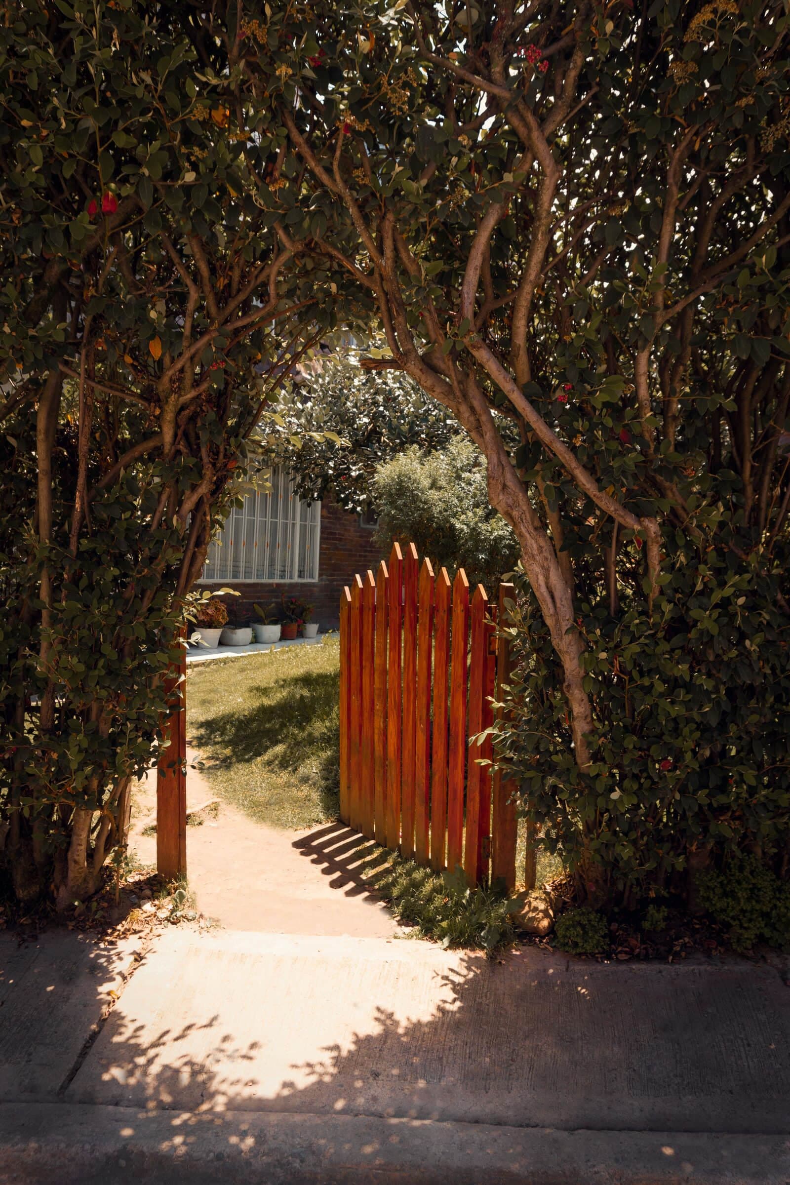 Walk gate: red-stained picket walk gate opening onto a garden path