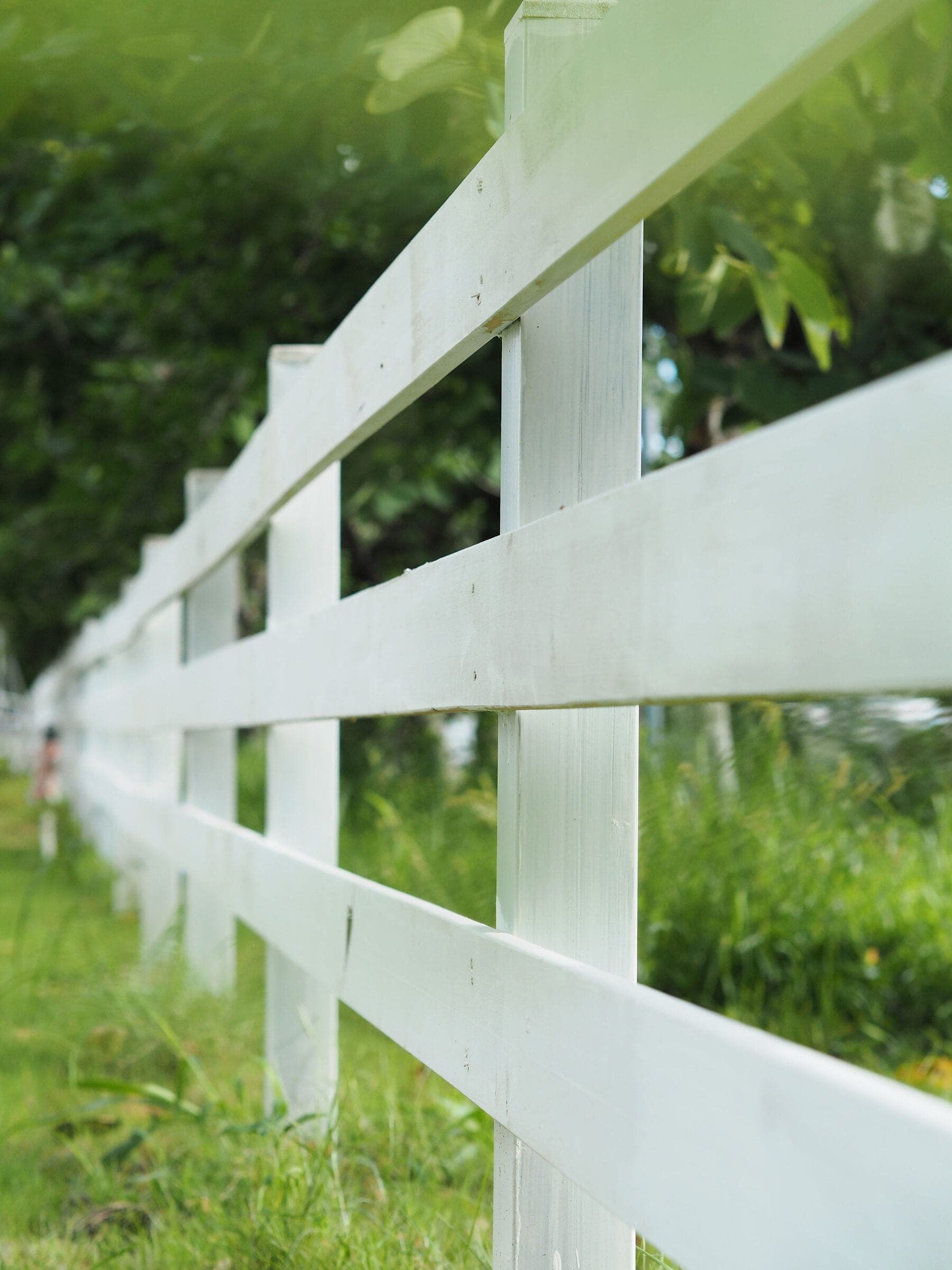 Close view of a white 3-rail ranch fence along green grass. Material not confirmed.