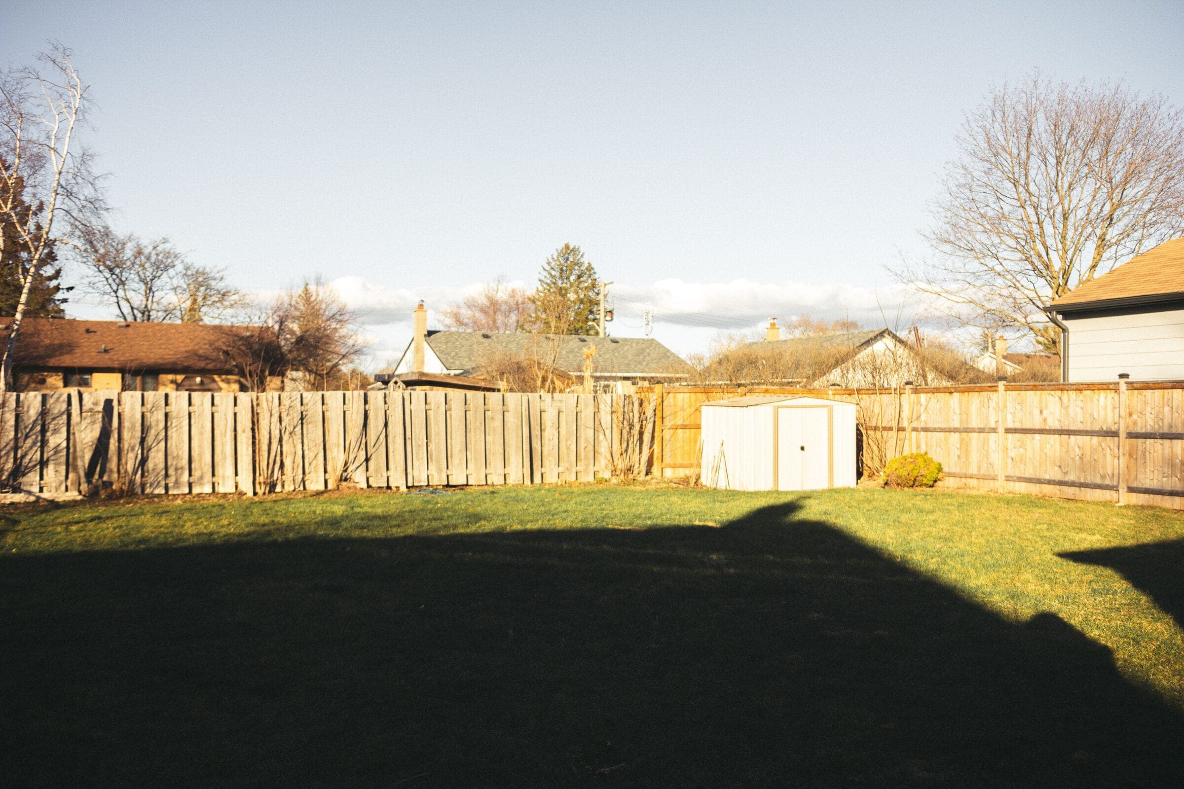 Good neighbor: weathered flat-top alternating-board fence around a sunny backyard lawn with a shed